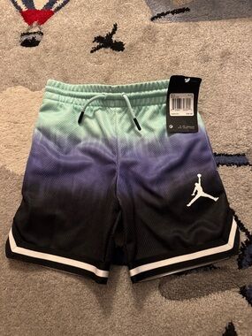 Jordan Gradient Athletic Shorts in Mint, Purple, Black